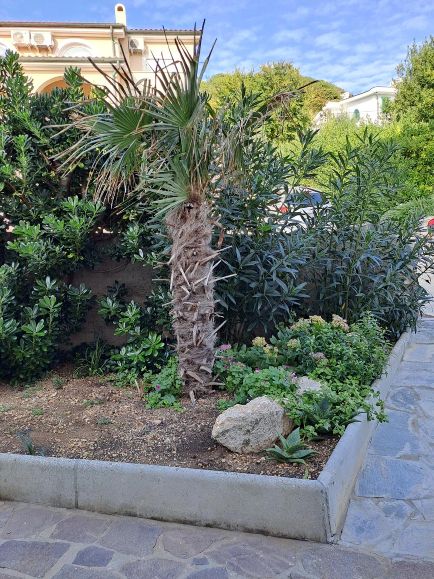 Apartment Kricin Baška Oda fotoğraf